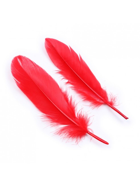 Kit coquin 4 pièces