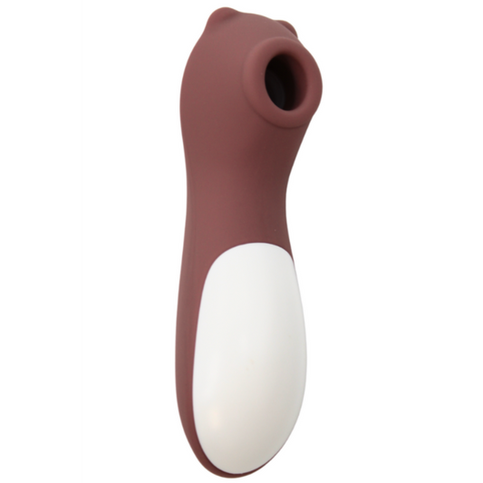 Teddy Bear Pocket Pleasure